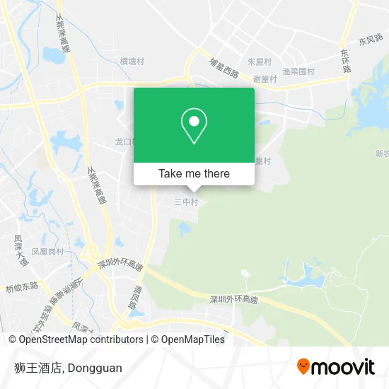 狮王酒店 map