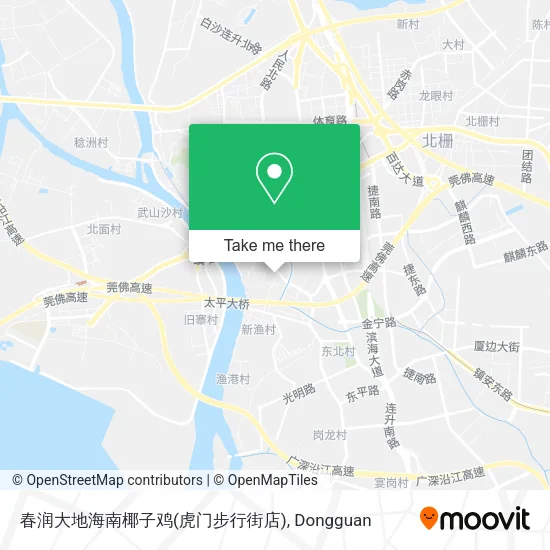 春润大地海南椰子鸡(虎门步行街店) map