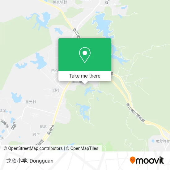 龙欣小学 map