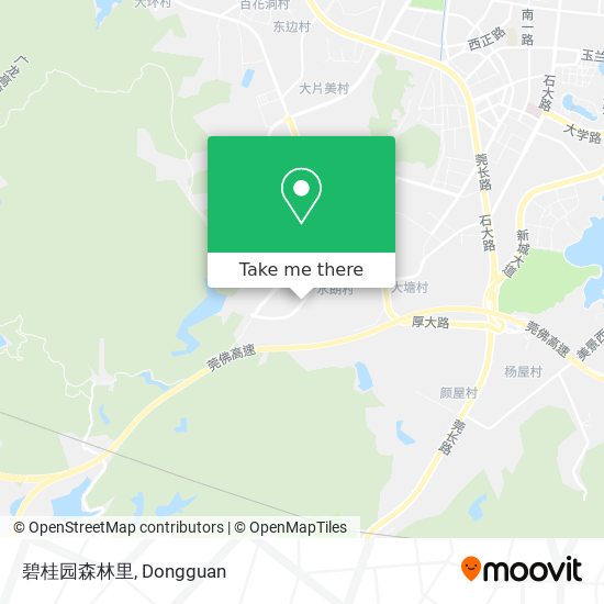 碧桂园森林里 map