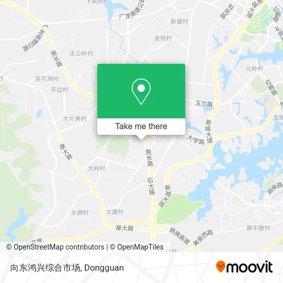 向东鸿兴综合市场 map