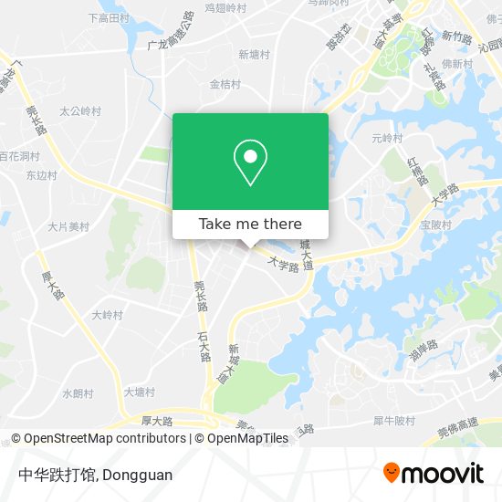 中华跌打馆 map