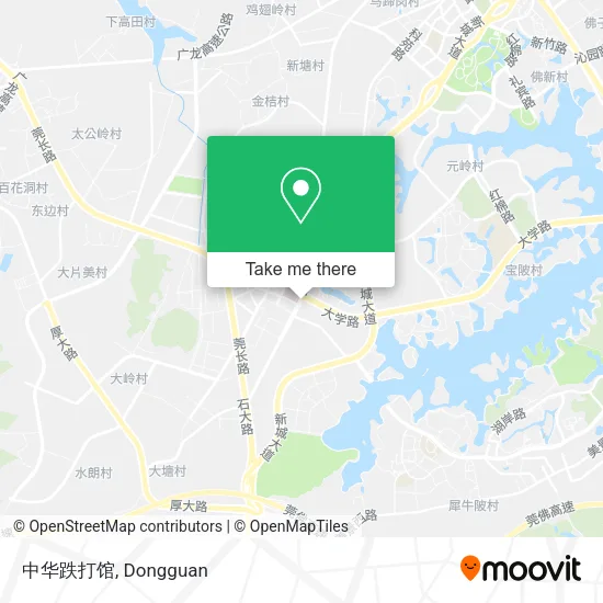 中华跌打馆 map