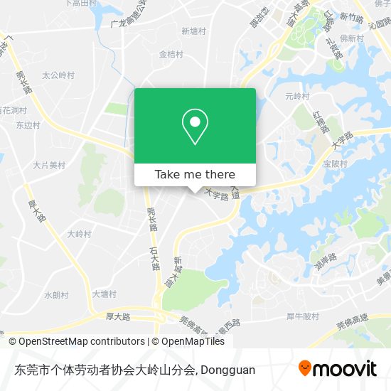 东莞市个体劳动者协会大岭山分会 map