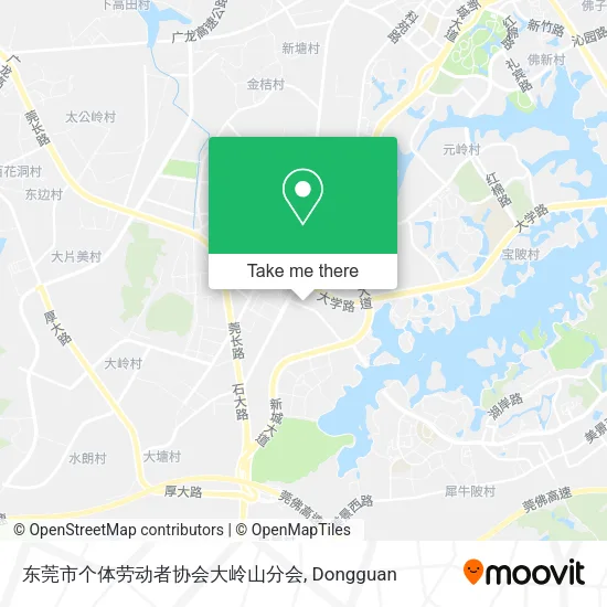 东莞市个体劳动者协会大岭山分会 map