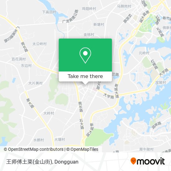 王师傅土菜(金山街) map