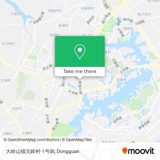 大岭山镇元岭村-1号岗 map