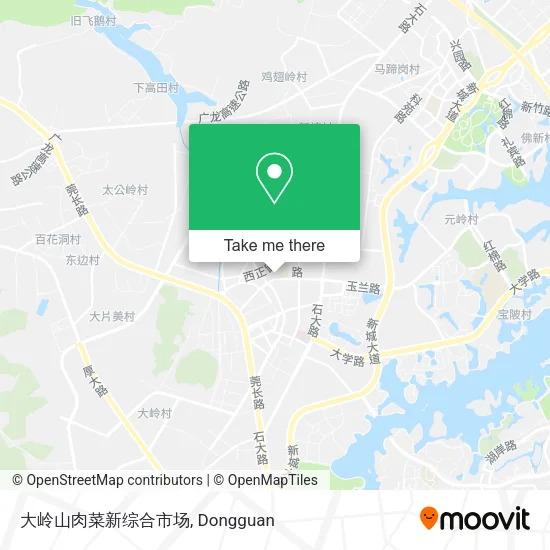 大岭山肉菜新综合市场 map