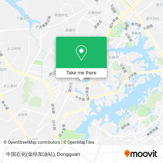 中国石化(金桔加油站) map