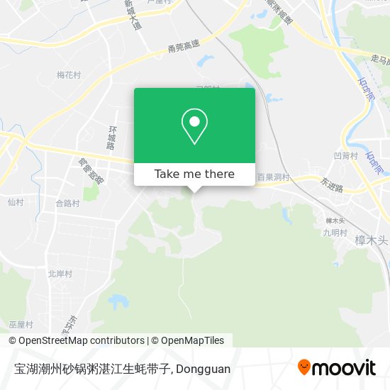 宝湖潮州砂锅粥湛江生蚝带子 map