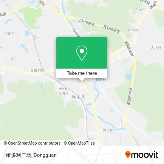 维多利广场 map
