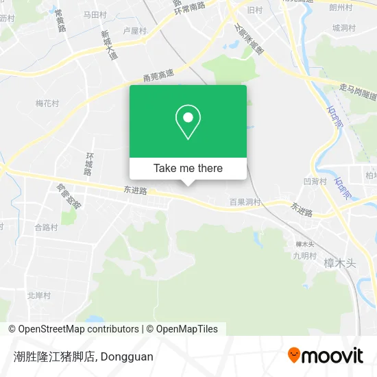 潮胜隆江猪脚店 map