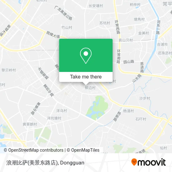 浪潮比萨(美景东路店) map