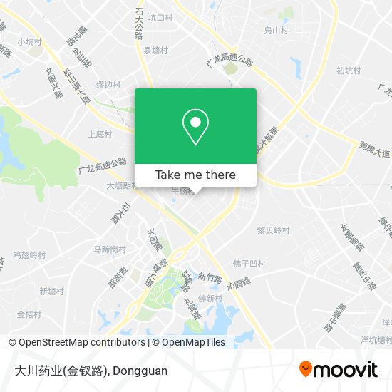 大川药业(金钗路) map