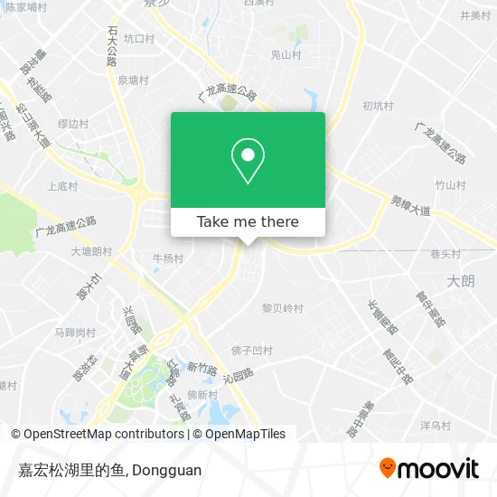 嘉宏松湖里的鱼 map