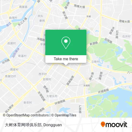 大树体育网球俱乐部 map