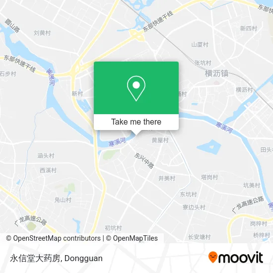 永信堂大药房 map