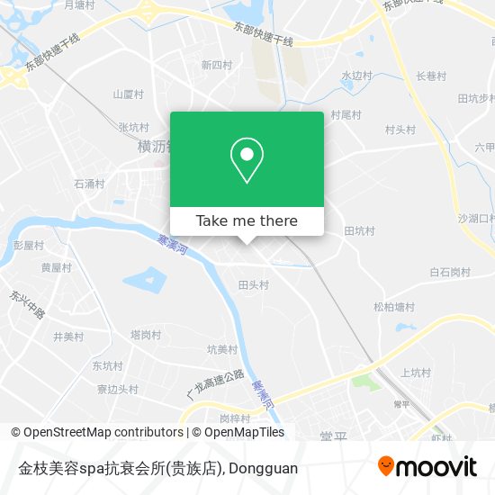 金枝美容spa抗衰会所(贵族店) map