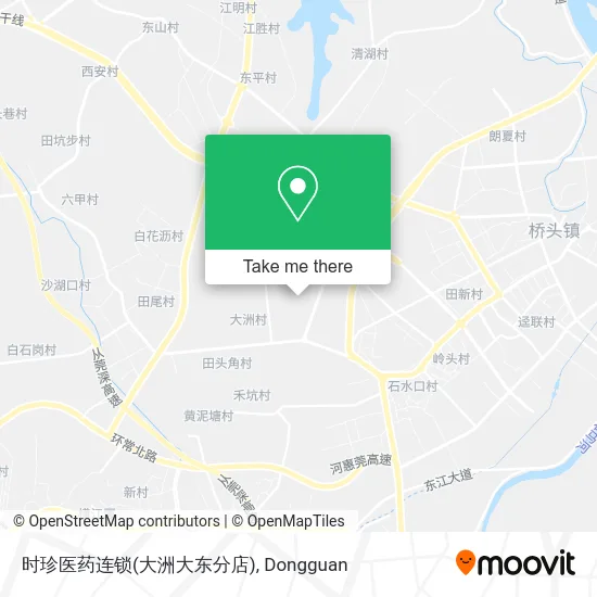 时珍医药连锁(大洲大东分店) map