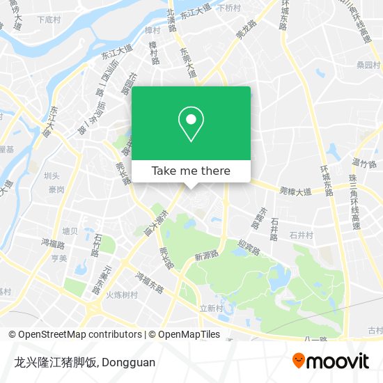 龙兴隆江猪脚饭 map