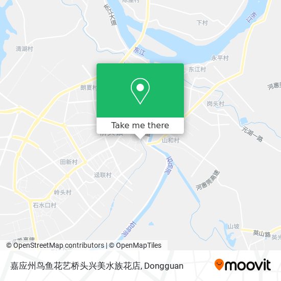 嘉应州鸟鱼花艺桥头兴美水族花店 map