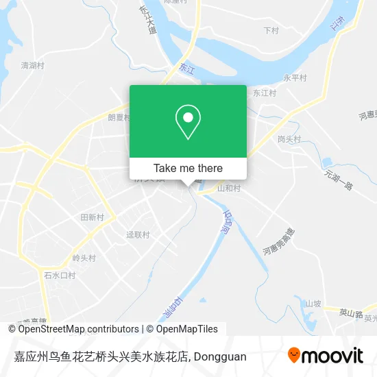 嘉应州鸟鱼花艺桥头兴美水族花店 map