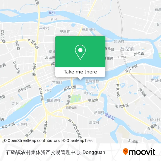 石碣镇农村集体资产交易管理中心 map