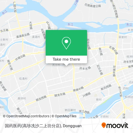 国药医药(高埗冼沙二上坊分店) map