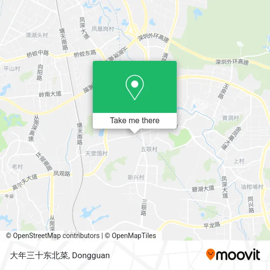 大年三十东北菜 map