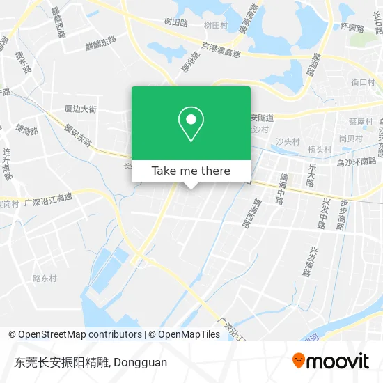 东莞长安振阳精雕 map