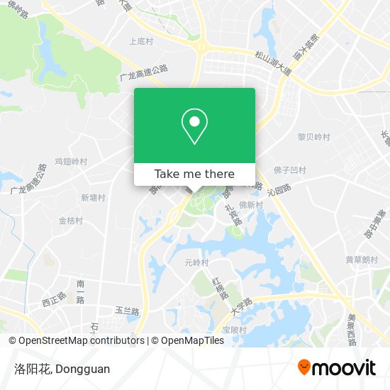 洛阳花 map