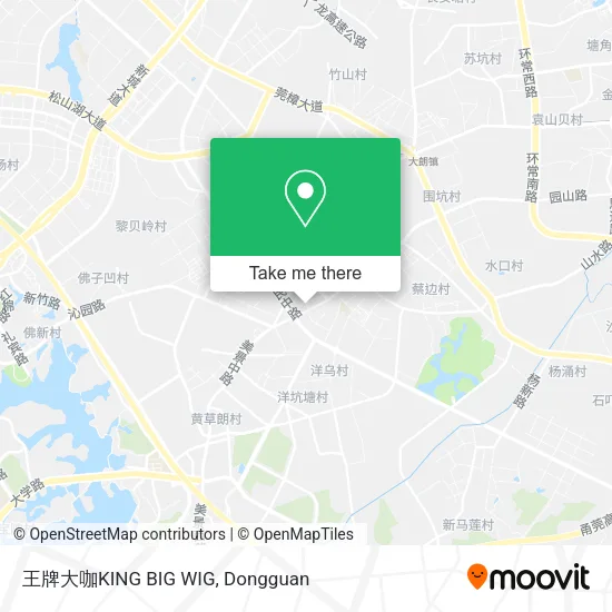 王牌大咖KING BIG WIG map