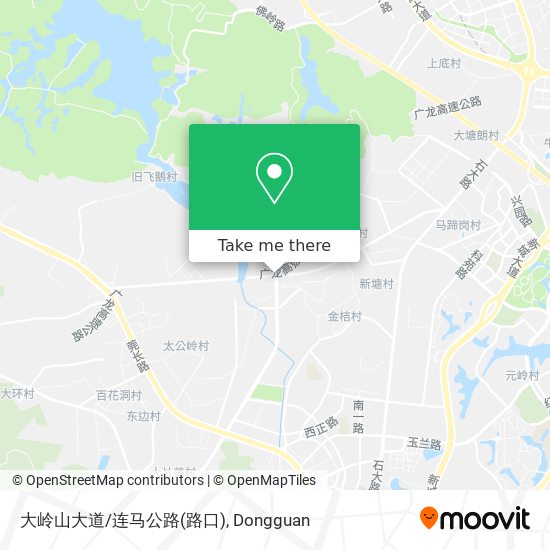 大岭山大道/连马公路(路口) map