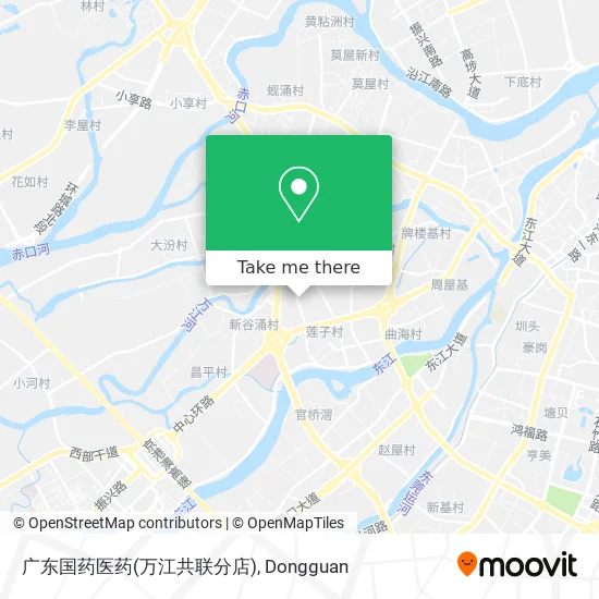 广东国药医药(万江共联分店) map