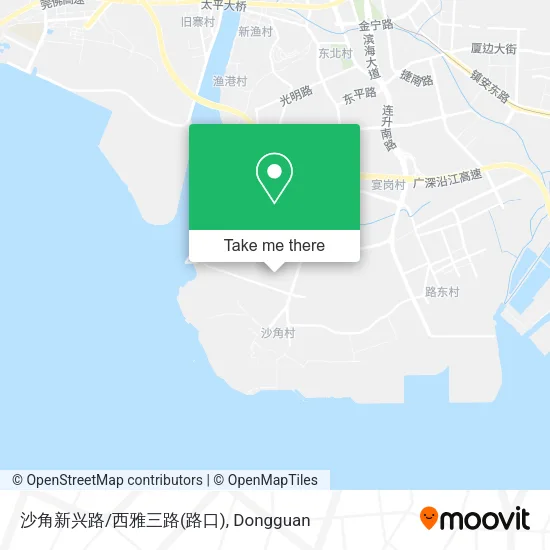 沙角新兴路/西雅三路(路口) map