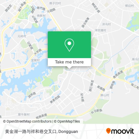 黄金湖一路与祥和巷交叉口 map