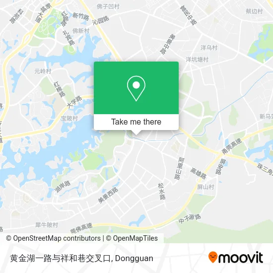 黄金湖一路与祥和巷交叉口 map