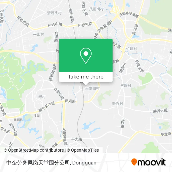 中企劳务凤岗天堂围分公司 map