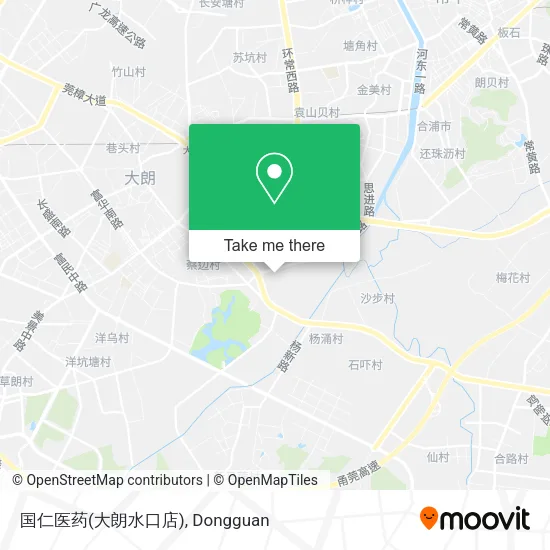 国仁医药(大朗水口店) map