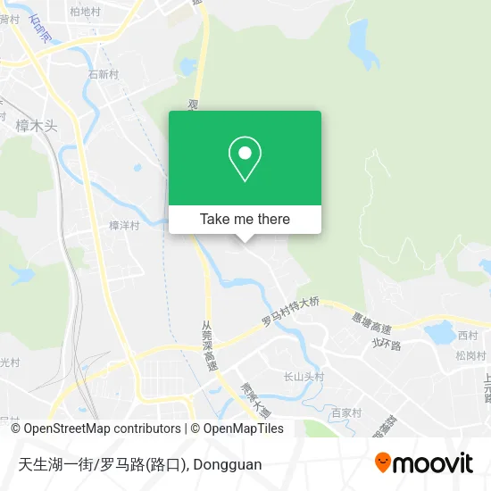 天生湖一街/罗马路(路口) map