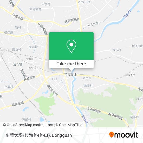 东莞大堤/过海路(路口) map