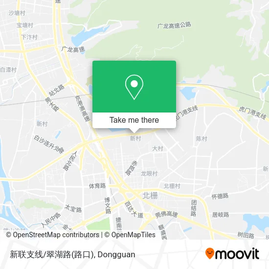 新联支线/翠湖路(路口) map