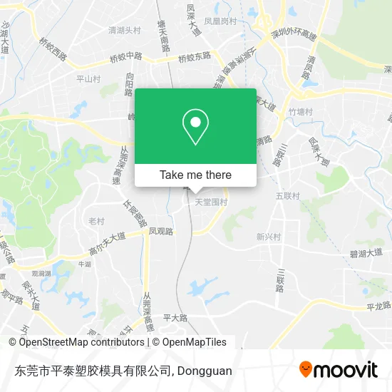 东莞市平泰塑胶模具有限公司 map