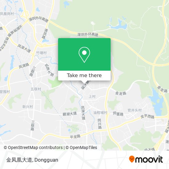 金凤凰大道 map