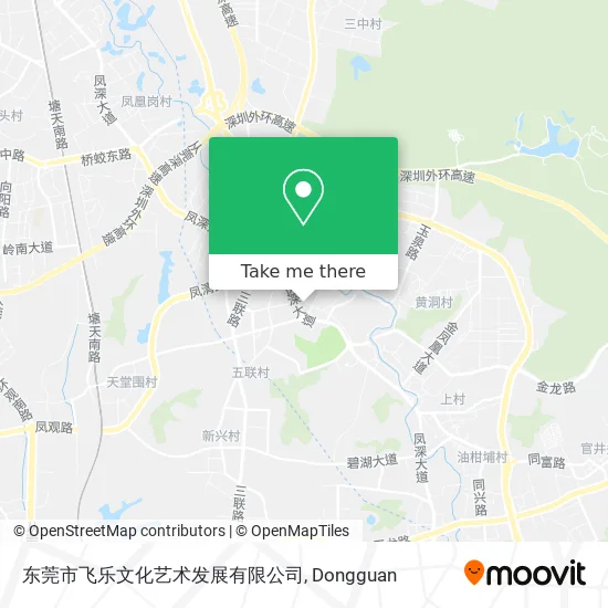 东莞市飞乐文化艺术发展有限公司 map