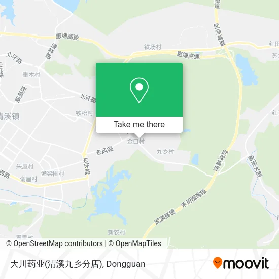 大川药业(清溪九乡分店) map