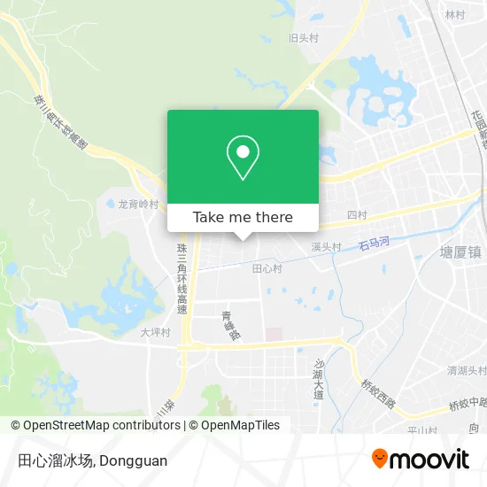 田心溜冰场 map