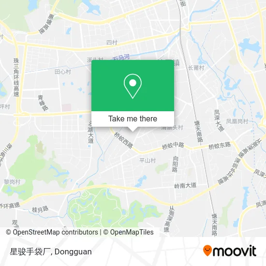 星骏手袋厂 map