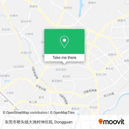 东莞市桥头镇大洲村坤坊苑 map