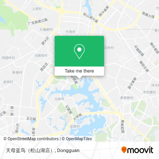 天母蓝鸟（松山湖店） map